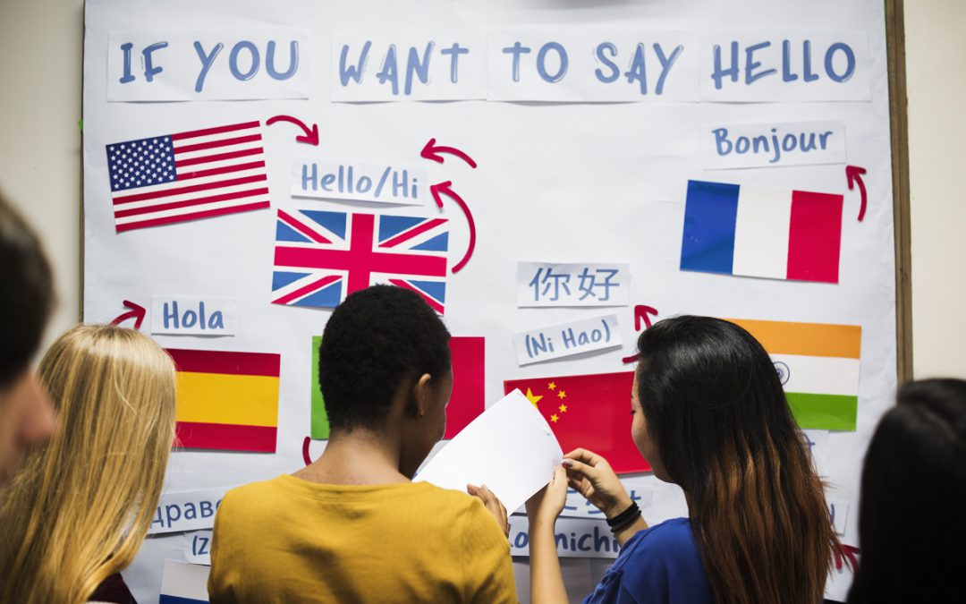 Tłumacz języków obcych – jak możesz nim zostać?